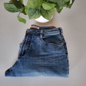 Express Fit and Flare Jeans